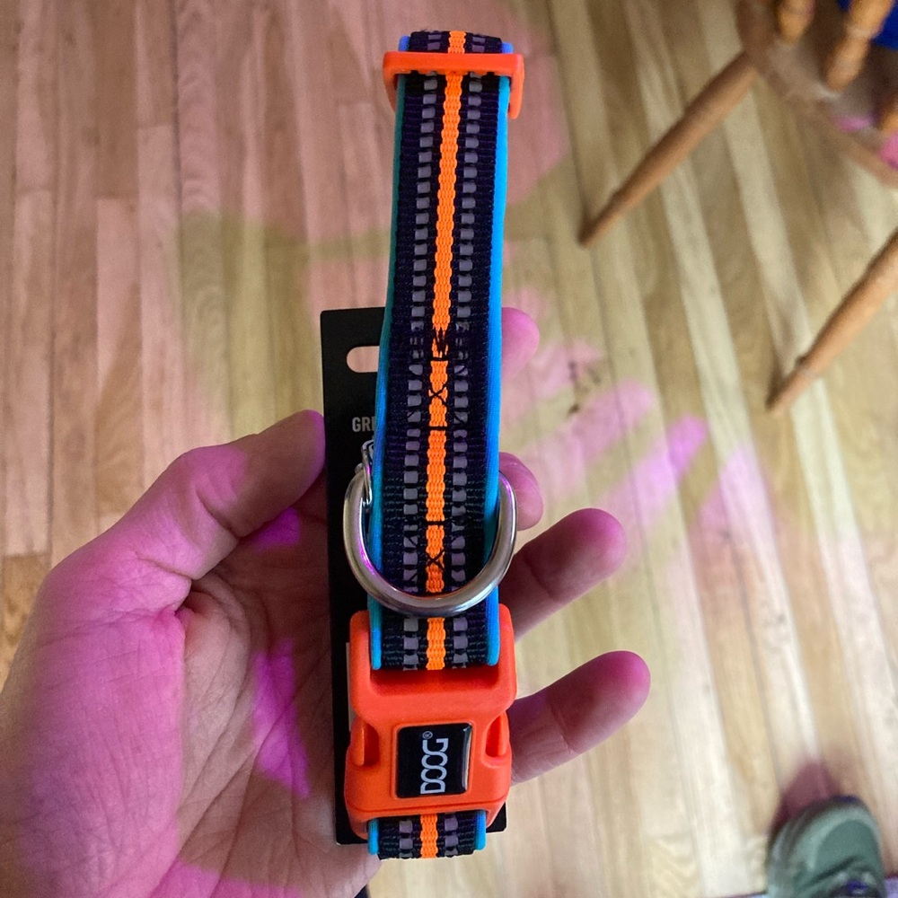 Orange and Blue Dog Collar for Stylish Walks